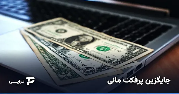جایگزین پرفکت مانی چیست؟ پی اس ووچر و یوتوپیا