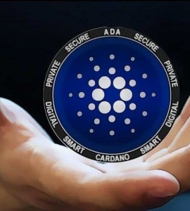 کاردانو از مرز گذشت