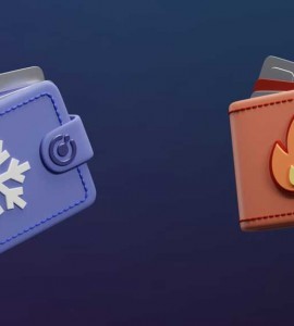 نقش کیف پول‌های سرد