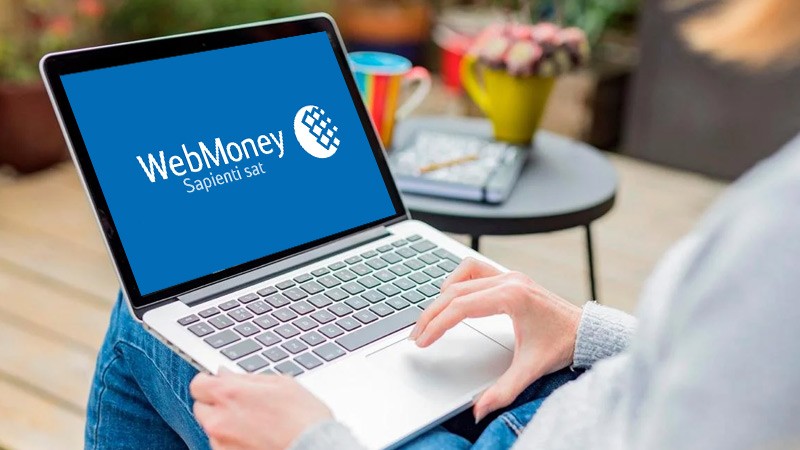 نحوه خرید وب مانی