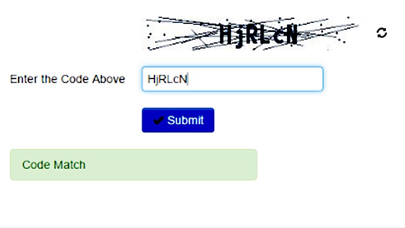 کسب درآمد از پرفکت مانی از طریق کپچا