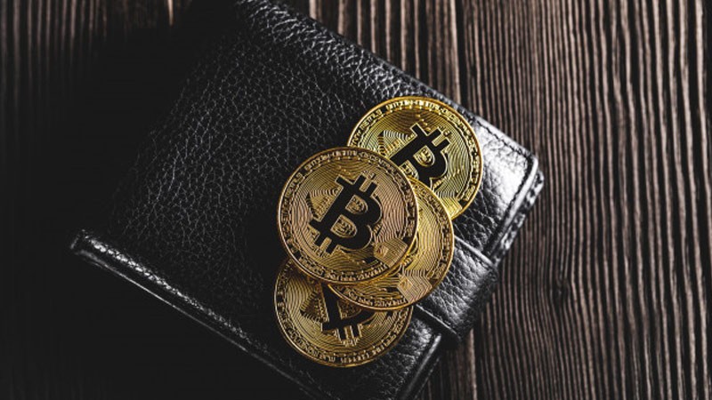 کیف پول های الکترونیکی محبوب در روسیه