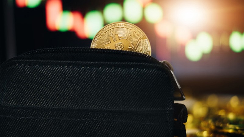 کیف پول Exodus