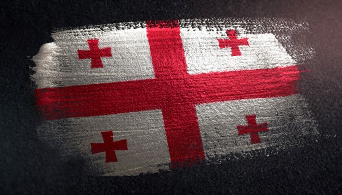 دانشگاه تفلیس