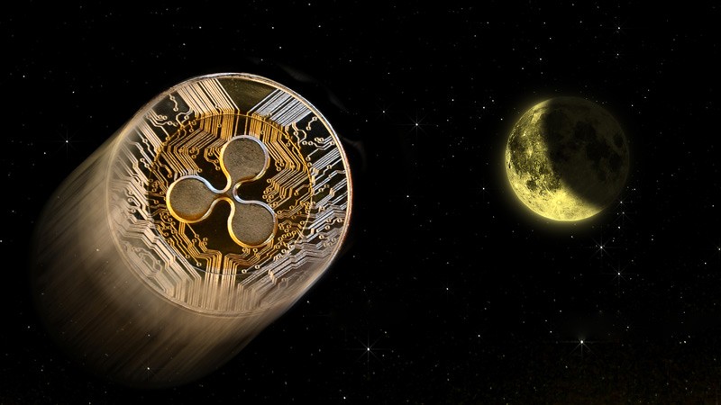 فعالیت ریپل در ایسلند