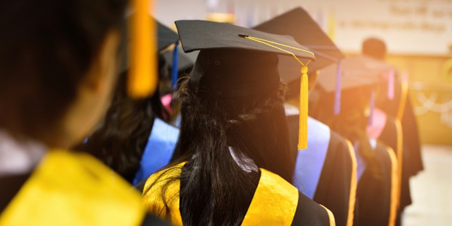 دانشگاه برتر جهان