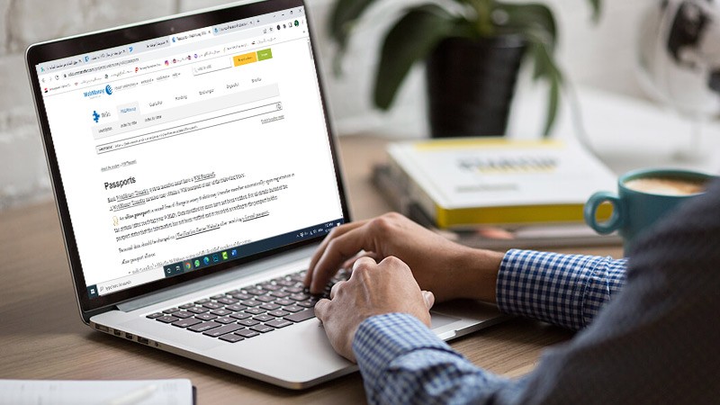 آشنایی با انواع حساب وب مانی