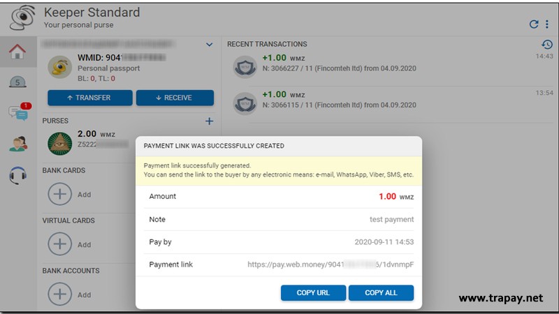 ساخت درگاه وب مانی