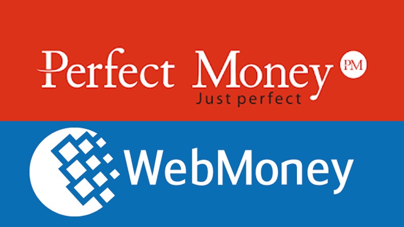 تفاوت های وب مانی با پرفکت مانی