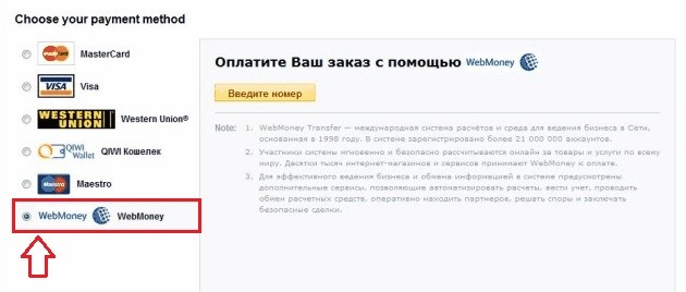 طریقه کار با وب مانی